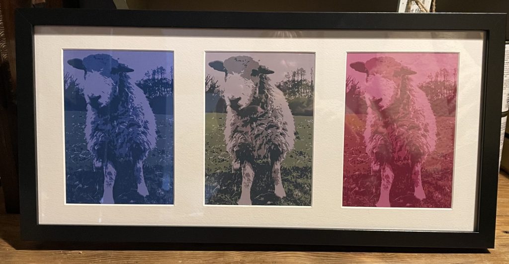 multi coloured picture of herdwick sheep in a Frame Warhol style the biscuit tin handmade